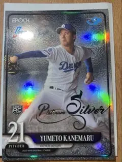 Item thumbnail for item 15ce06c8-dcd4-4871-a887-94bf941ee51e