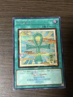 遊戯王 死者蘇生 絵違い シークレット WCS 2026 - メルカリ