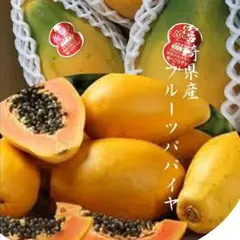 宮崎県産 フルーツパパイヤ サンライズソロ　1kg(2～３玉）のサムネイル
