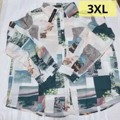 3XL ブラウス シャツ 柄 オシャレ 羽織 春 夏 グラフィック 長袖