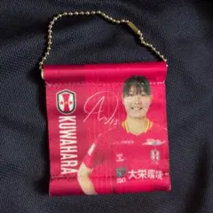 2026年最新】INAC神戸レオネッサの人気アイテム - メルカリ