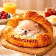 ピーチ様確認用