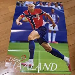 ワールドサッカーダイジェスト付録 ポスター