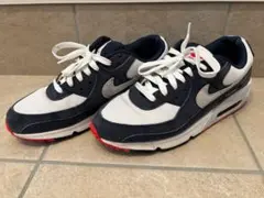 NIKE エアマックス DM0029-400 29cm