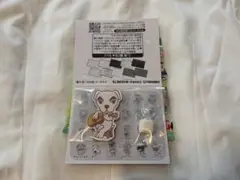 どうぶつの森 キャラクターマグネッツ とたけけ