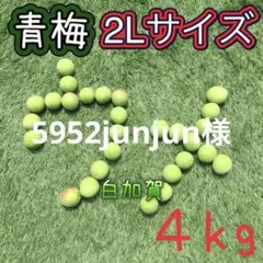 136 5952junjun様　青梅　2Lサイズ　4キロ