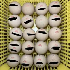 Item thumbnail for item 3399b650-49ce-4617-92bc-5059b9c83f0a