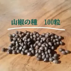 山椒の種 100粒
