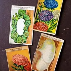 20s フランス 4枚 膨満な花々と野菜たち 種子袋用ラベルc アンティーク