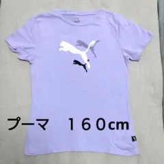 美品　女の子　PUMA 　プーマ 　Tシャツ 160cm 　薄紫　パープルのサムネイル