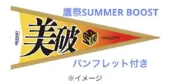 福岡ソフトバンクホークス　応援グッズ　ペナントタオル　非売品
