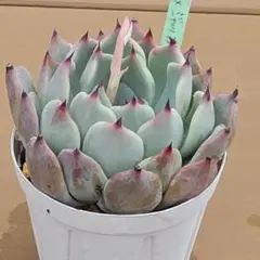 hikaru様 リクエスト 3点 まとめ商品