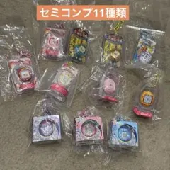 LAMPキーホルダー 箱館山 10種類コンプ 琵琶湖キーホルダー ZOOM