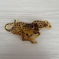 ヒョウ　ブリーチ