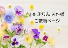 *＊ ぷりん ＊†⋆様 リクエスト 3点 まとめ商品