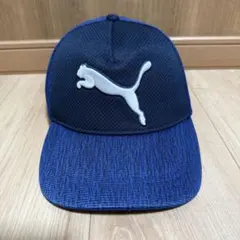 Item thumbnail for item 4074f434-6e33-4758-aeee-205242833aa2