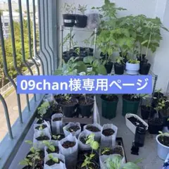 09chan様専用ページ【トマト各種】のサムネイル