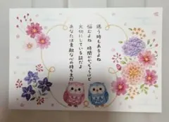 ふくろう イラスト ポストカード 癒し メッセージ