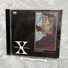 X - DARKNESS VISIBLE GIG DVD
