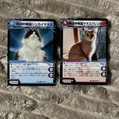 Item thumbnail for item b575c6bc-1bee-4b4e-8835-afa6dbfc62f3