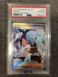 2026年最新】キハダSAR psa10の人気アイテム - メルカリ