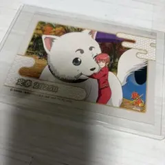 PRカード「どこヴァン！ねお2026」(限定仕様) 完走賞 PRカード「どこヴァン！ねお2026」(限定仕様) 完走賞 - メルカリ