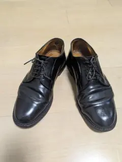 2026年最新】alden 9901の人気アイテム - メルカリ