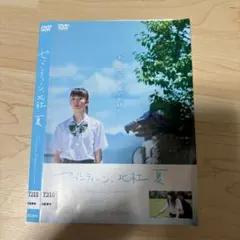 Item thumbnail for item 5bccac26-7a33-4996-9ad4-69c3868e7ad5