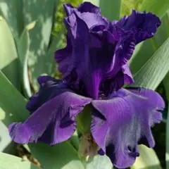 蒼い小鳥様 リクエスト 3点 まとめ商品