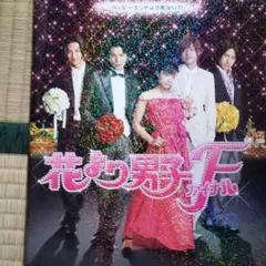 ※超貴重※花より男子FINALパンフレット