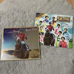 Item thumbnail for item 65abb329-10d6-4309-828e-2df715b3c0bb