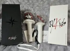 StrayKids スキズペンライト　ver1,ver2