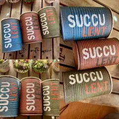 No.742 シンプルカッコいい　リメ缶3個セット リメ缶　多肉植物