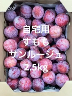 完熟プラム すもも 詰め合わせ - メルカリ