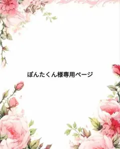 ぽんたくん様専用ページ