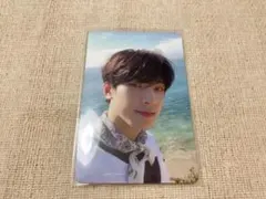 SEVENTEEN ヘンガレ ウォヌ トレカ
