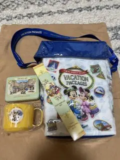 ディズニーリゾート　バケーションパッケージポプコーンバスケット【おまけ付き】