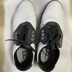 Item thumbnail for item d7f312c2-f59d-4b27-a0d5-24f9766f518d