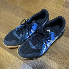 asics 室内シューズ　26cm