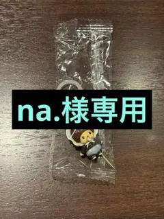 na. 様専用ページ