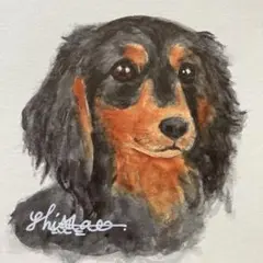 ミニ絵画 ダックス