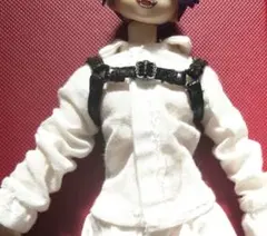 Item thumbnail for item 4574a1e9-15f5-4a10-af36-f03f26133686