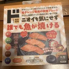 Item thumbnail for item 00b7c77b-d507-408c-b907-70c05a68eb02