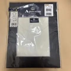 Aquascutum 丸首半袖Tシャツ Lサイズ