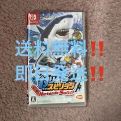 釣りスピリッツ　Nintendo Switch