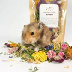 Saiby様 リクエスト 2点 まとめ商品