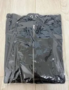 Item thumbnail for item 374aa71b-6be2-4ed9-ba68-84d8fede22dd