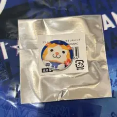 横浜DeNAベイスターズ ブラインドユニフォームボタンキャップ スターマン/通常