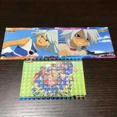 イナイレ カードセット