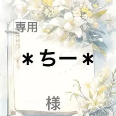 ＊ちー＊ 様　専用
